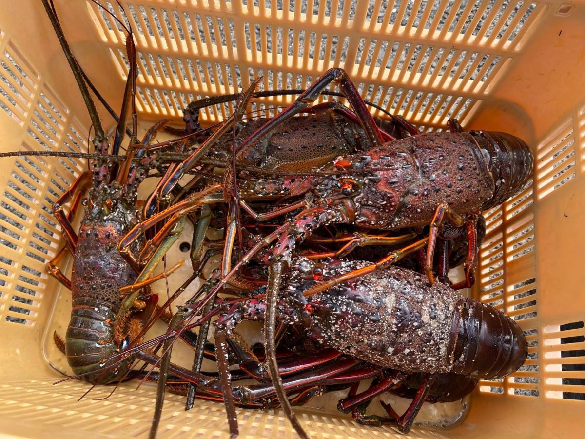 皆様お宿　海風 Shirahama Zewnętrze zdjęcie